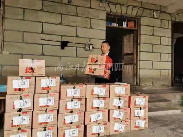 花果同树，内江这里的晚熟血橙好“稀奇”(图3)