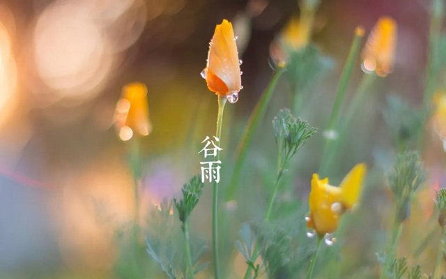 【扩散】今天起，要多吃这些食物？(图4)