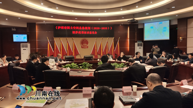 龙马潭区召开国土空间总体规划初步成果征求意见会(图1)