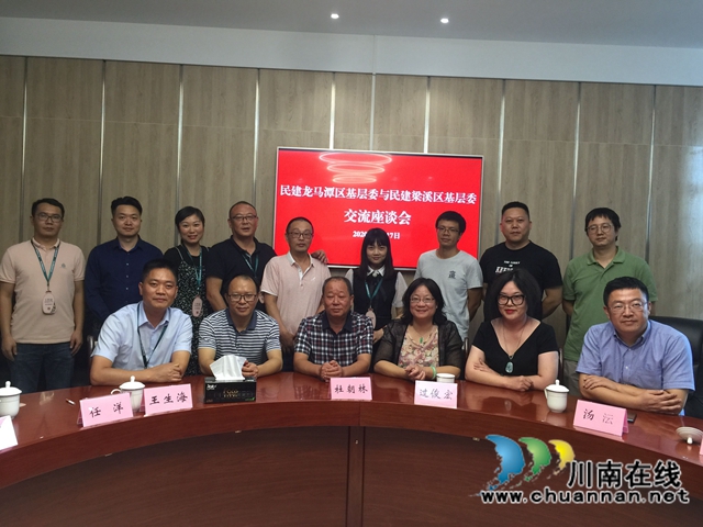 民建龙马潭基层委员会：抗疫扶贫齐头并进，服务发展尽显担当(图1)