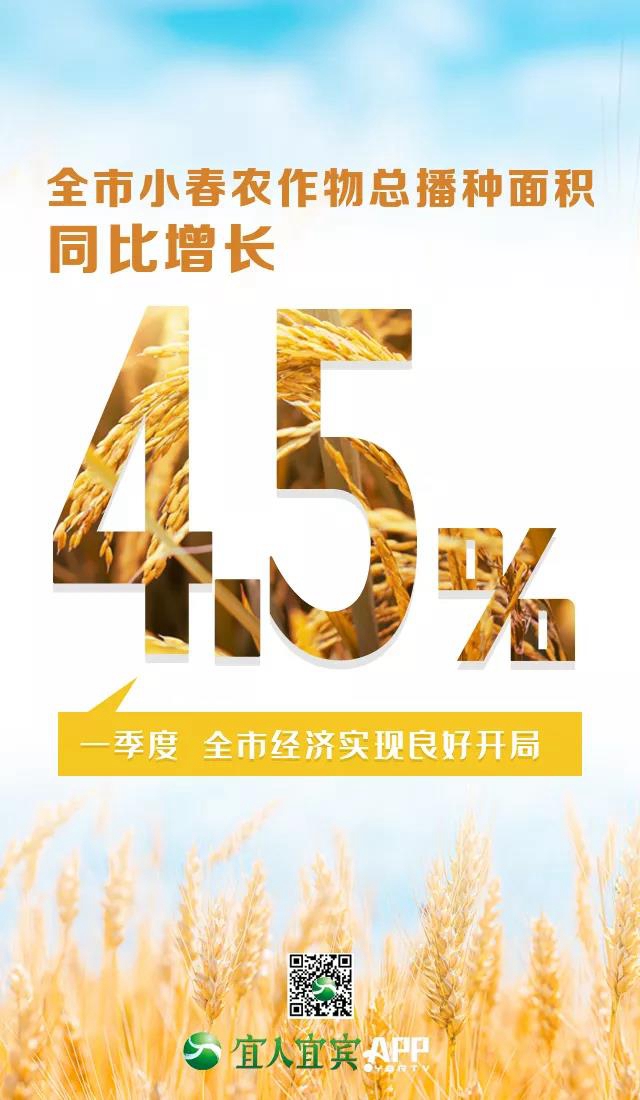 16.8%！一季度宜宾经济增速跑赢全省(图3)