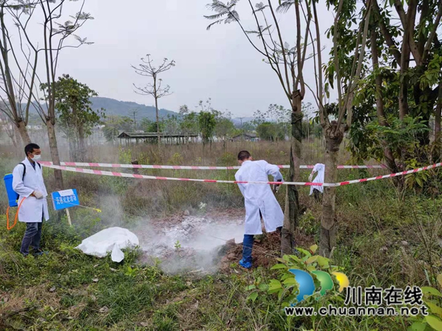 纳溪区农业农村局开展2021年突发重大动物疫情（非洲猪瘟）应急演练(图3)