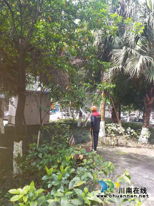 龙马潭区红星街道龙桥子社区开展除四害活动(图3)