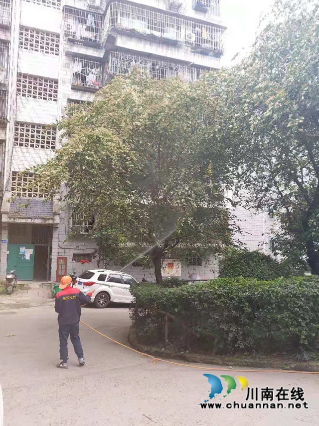 龙马潭区红星街道龙桥子社区开展除四害活动(图2)