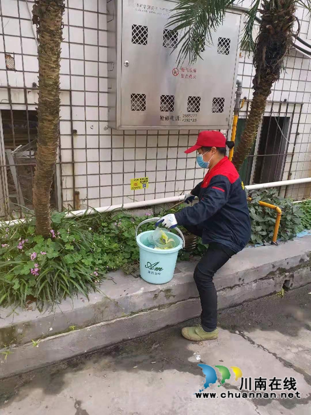 龙马潭区红星街道龙桥子社区开展除四害活动(图4)