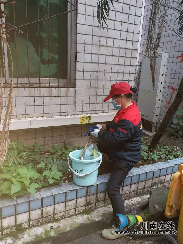 龙马潭区红星街道龙桥子社区开展除四害活动(图1)