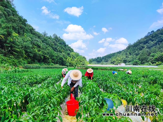 产城一体 古蔺县金兰街道“两项改革”后正焕发出蓬勃生机(图1)