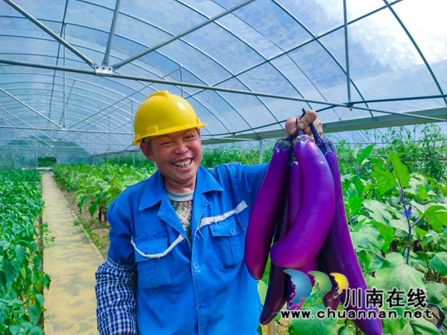 产城一体 古蔺县金兰街道“两项改革”后正焕发出蓬勃生机(图2)