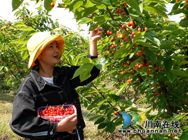 产城一体 古蔺县金兰街道“两项改革”后正焕发出蓬勃生机(图3)