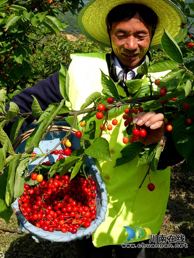 产城一体 古蔺县金兰街道“两项改革”后正焕发出蓬勃生机(图5)