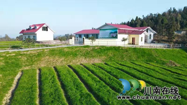 产城一体 古蔺县金兰街道“两项改革”后正焕发出蓬勃生机(图8)