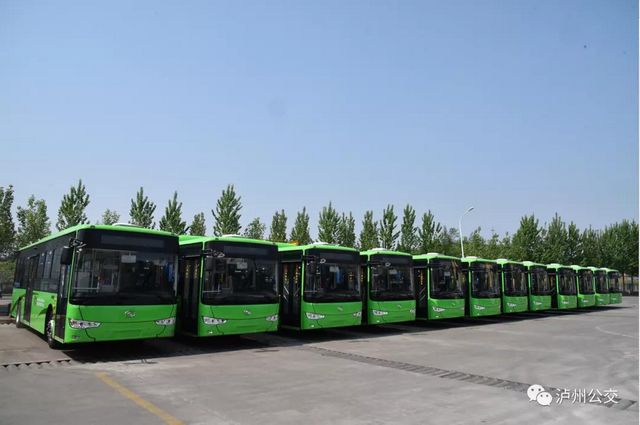 【招聘】泸州公交集团招聘行政管理人员