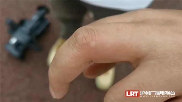 遇到请远离！红火蚁再次现身泸州......(图4)