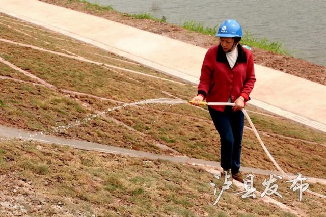 泸县：濑溪河之变，河岸再添新风景——(图8)