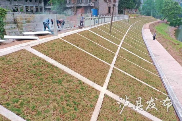 泸县：濑溪河之变，河岸再添新风景——(图10)