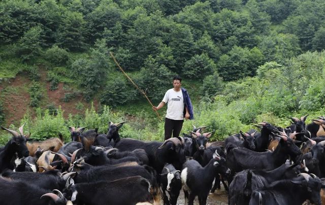 西南医大中医院荣获四川省脱贫攻坚先进集体(图4)