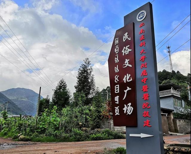 西南医大中医院荣获四川省脱贫攻坚先进集体(图5)