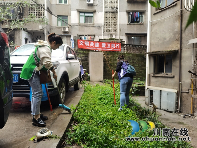 江阳区大山坪街道麻柳湾社区：助力疫情防控，携手爱卫同行(图5)