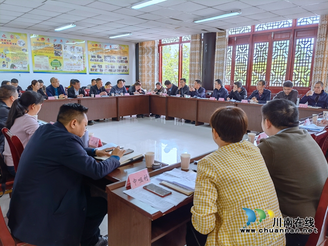 泸县立石镇召开村（社区）党组织书记例会(图1)