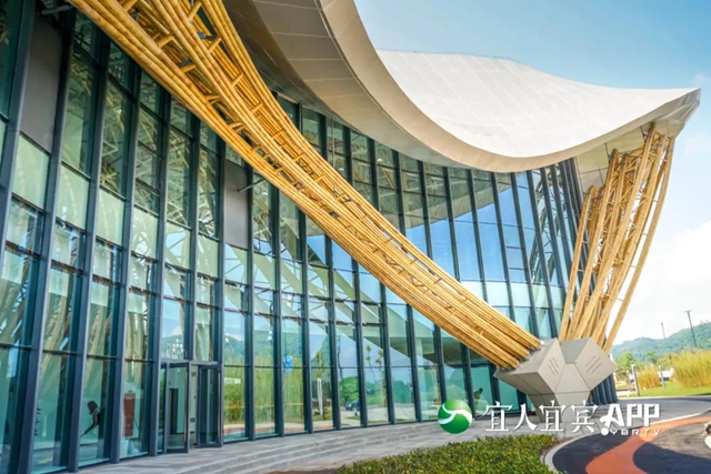世界首例！宜宾这栋建筑太高大上！5月1日就要……(图5)