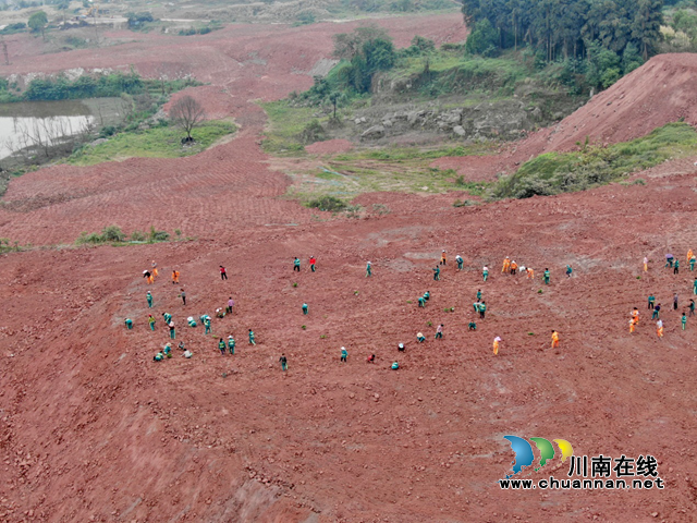 自贸区川南临港片区分局全力以赴做好土地卫片执法整改工作(图1)
