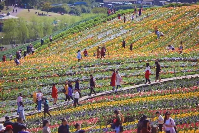 “五一”将至活动多！泸州这些景区邀你来打卡(图1)