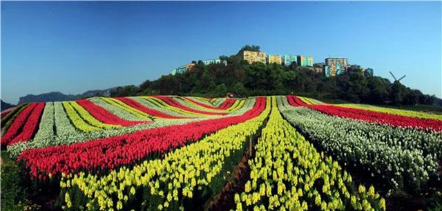 “五一”将至活动多！泸州这些景区邀你来打卡(图2)