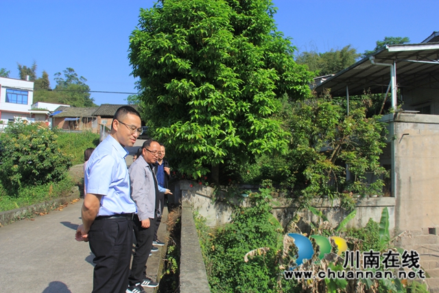陈刚到泸县云龙镇督导当前重点工作(图1)