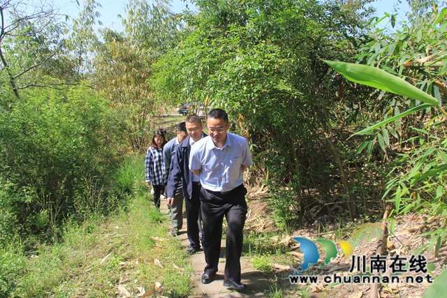 陈刚到泸县云龙镇督导当前重点工作(图2)