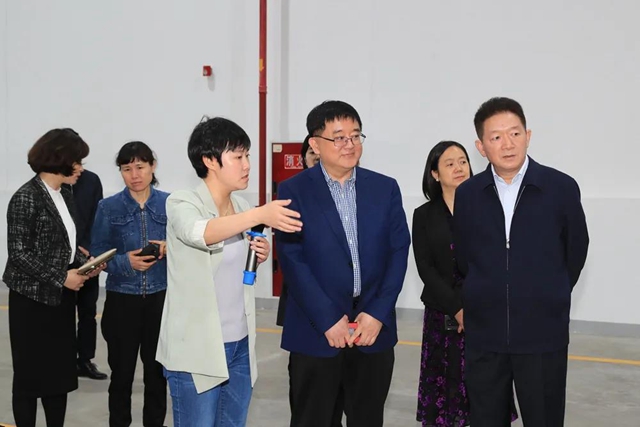 国口办副主任王可莅泸调研：强化口岸支撑功能，加快建设内陆开放新高地(图2)