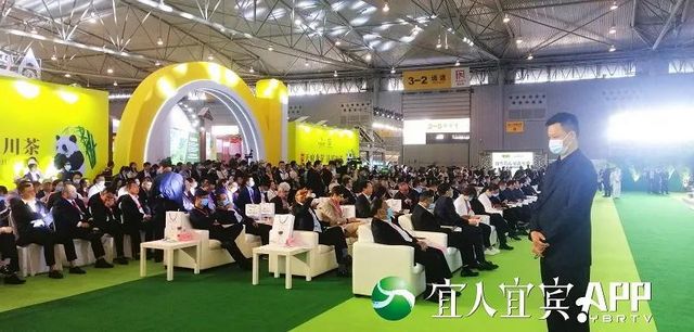 宜宾茶企组团亮相第十届茶博会(图7)