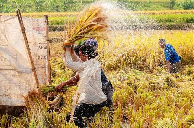 定格丨江阳劳动者群像扫描(图6)