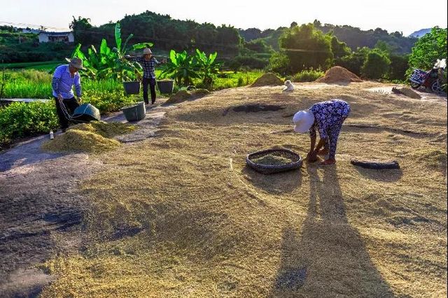 定格丨江阳劳动者群像扫描(图28)