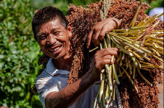 定格丨江阳劳动者群像扫描(图35)