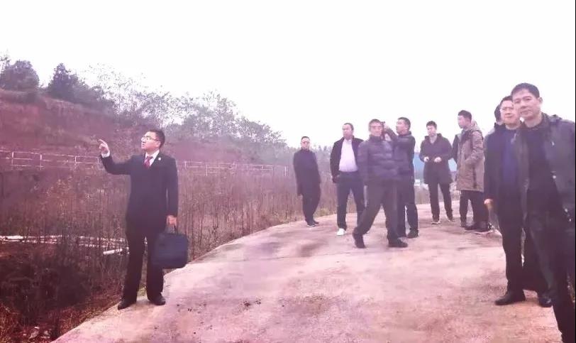 龙马潭区法院1-4月执行到位2亿元！(图3)