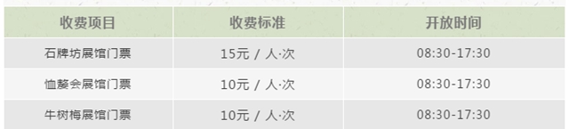 裸眼3D全息投影、体感翻书……隆昌这个文化基地太有科技感了！(图17)