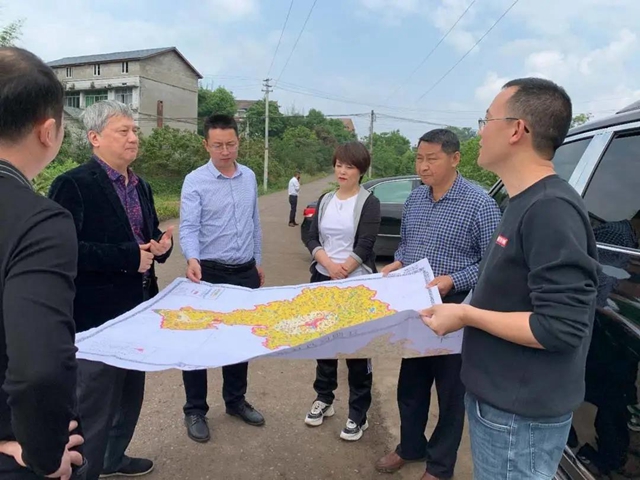 省政府派驻泸州市自然资源督察组对江阳区耕地和基本农田保护工作开展督察(图1)