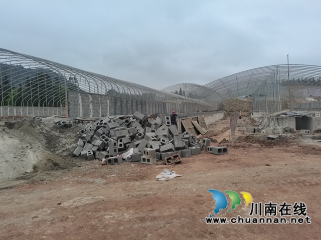 古蔺县大寨苗族乡：学党史，促产业，实现乡村振兴(图4)