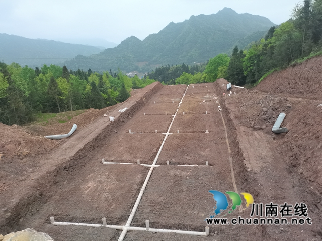 古蔺县大寨苗族乡：学党史，促产业，实现乡村振兴(图3)