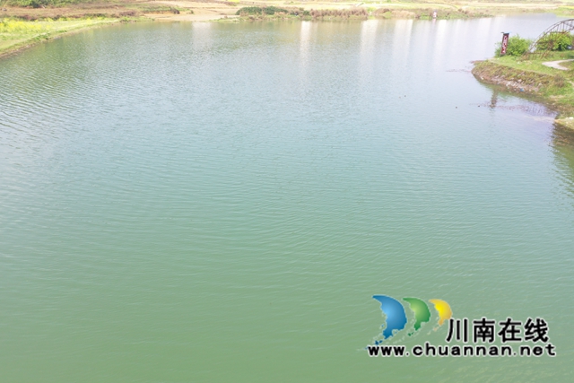 古蔺县大寨苗族乡：学党史，促产业，实现乡村振兴(图8)