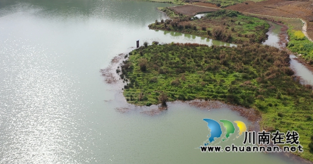 古蔺县大寨苗族乡：学党史，促产业，实现乡村振兴(图7)