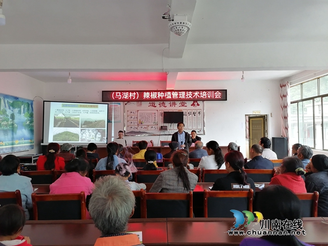 叙永县经济商务科学技术局：平台牵线搭桥，助力乡村振兴(图1)