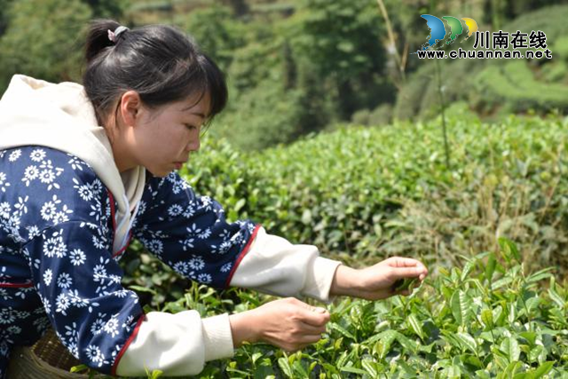 纳溪区护国中学举行青年教师培训活动(图1) 纳溪区护国中学举行青年教师培训活动(图1)