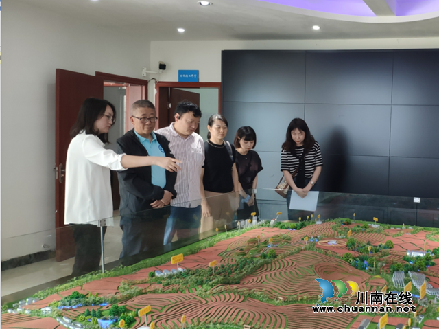 宜宾市文明办到长兴镇调研督导精神文明建设工作(图1)