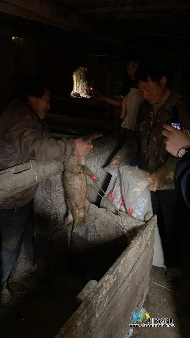 “稻谷”变“猪仔” 古蔺县法院成功执结一起赡养费纠纷(图1)