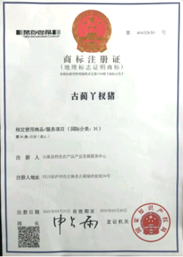 丫杈猪上榜！ 古蔺国家地理标志证明商标增至6件(图2)