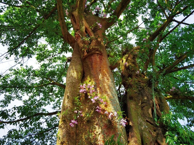 【双城经济圈】“近邻”变“伙伴”，川渝两镇合作再升级！(图4)