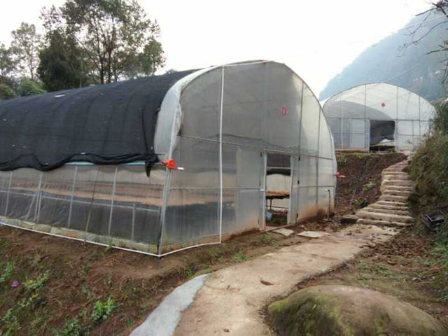 【双城经济圈】“近邻”变“伙伴”，川渝两镇合作再升级！(图5)