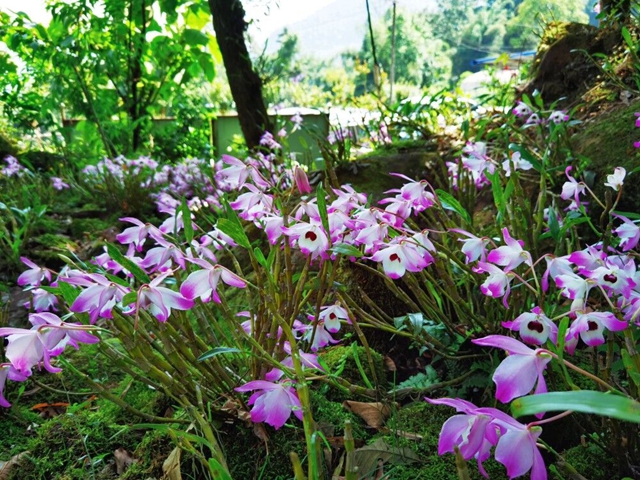 【双城经济圈】“近邻”变“伙伴”，川渝两镇合作再升级！(图8)