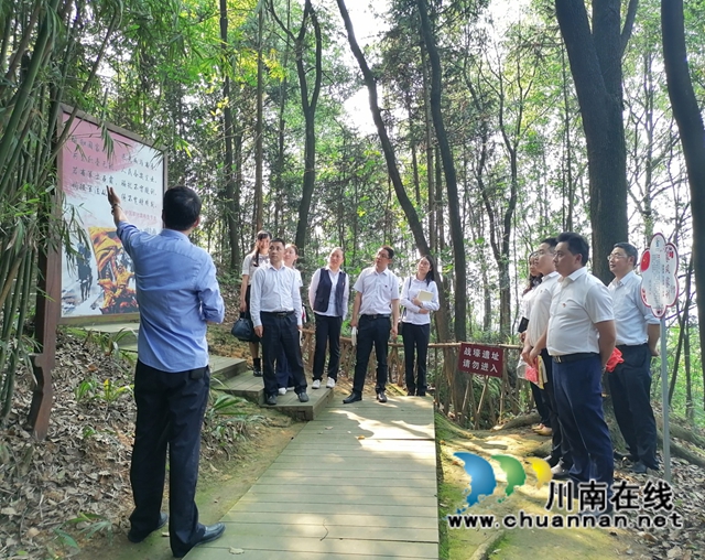 纳溪区行政审批局党支部组织参观红色教育基地，推进党史学习教育走深走实(图1)